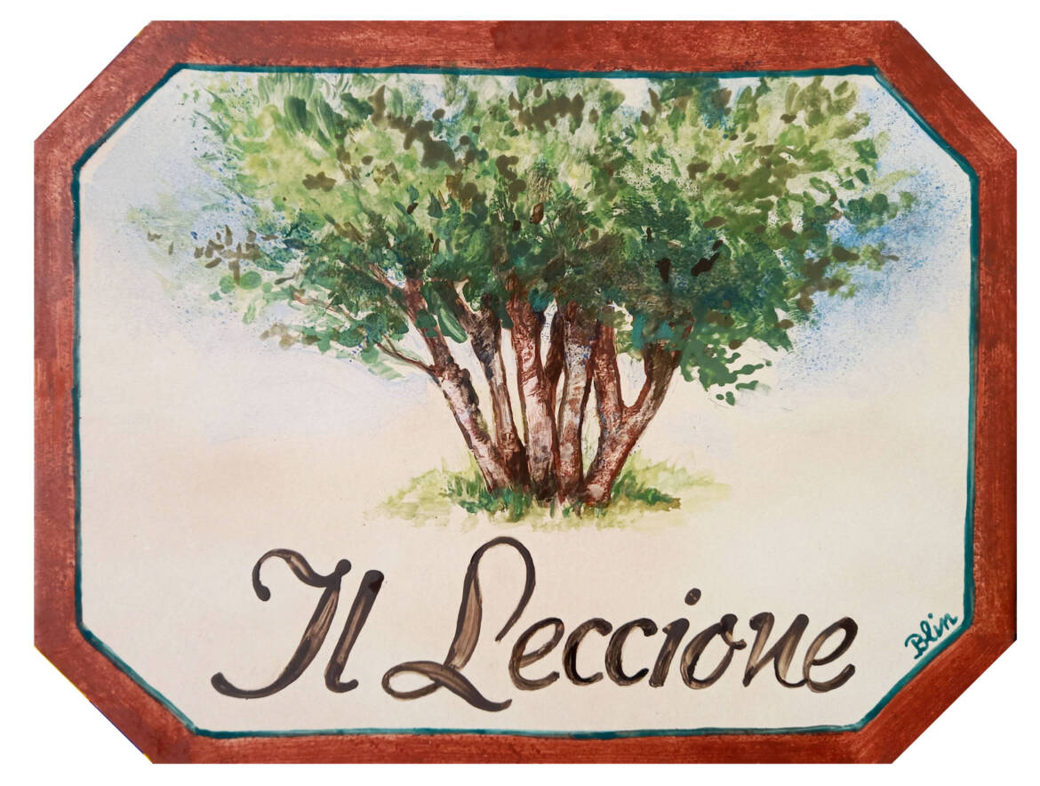 Il-leccione-scaled.jpg