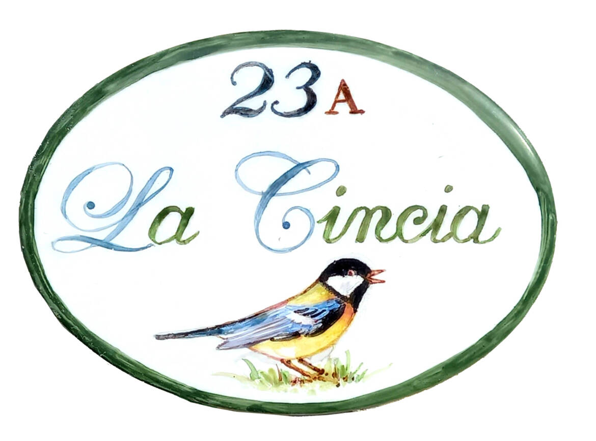 Cincia1-scaled.jpg